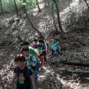 송화초등학교 이미지