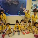 울릉초등병설유치원 이미지