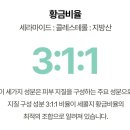 메드젠 네이버블로그