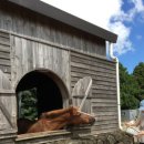 청파목장 이미지