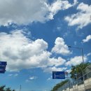 이화찹쌀순대 이미지