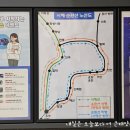 6952 | 착한여행6952 코레일과 함께한 당진댄스뮤직페스티벌 당일치기코스