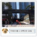 노아 동물병원 이미지