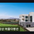 산방산 머물다 | 제주도 유채꽃 여행 산방산 머물다펜션 산방산 머물다펜션, 오션뷰가 매력적
