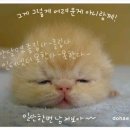 믐