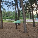 등명해변 이미지