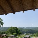 스위스목장 | [춘천] 근교 당일치기 여행지 추천 – “한국의 스위스” 감성 가득, 해피초원목장 후기 🐑🌿