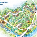 강씨봉자연휴양림 티스토리