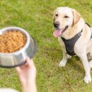 토비동물병원 이미지