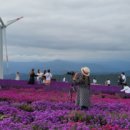 경남 전세버스 협동조합 이미지