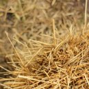 카트라스 이미지