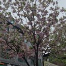 남원추어탕 | 평촌 학원가 숨은 맛집, 몸보신 제대로 되는 남원 추어탕 후기