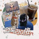 업 독 라이프 이미지