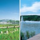 서부공원녹지사업소 이미지