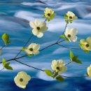 장에가던날 이미지