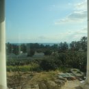 주돼지무한리필 이미지