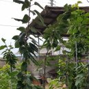 별샘농장 이미지