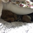 몽크의 아뜰리에 이미지