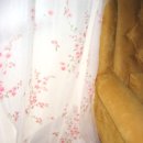 레몬테라스 이미지