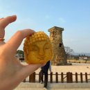 정이 넘치는 펜션 | 경주 숙소 추천 황리단길 근처 한옥펜션 둥지가족펜션 후기