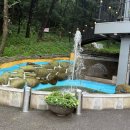 영사정민물장어직판장 | 김포 강아지동반 맛집🐶 영사정민물장어직판장 후기🦈