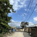 명선식당 이미지