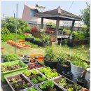 숙명여자대학교 임상약학대학원 이미지