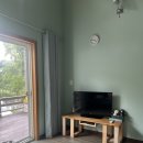 숲앤숲펜션 | 여름 가족여행으로 강추하는 강원도 대관령 숙소 추천