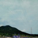 신안군 <b>퍼플</b>섬 근황