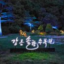 [10/20]가드닝 클래스 이미지