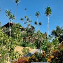 호텔야호(원) 이미지