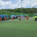 영해생활체육공원 이미지