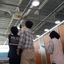 포항시북구청 화장실 NSP통신