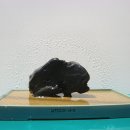 복돼지 - 창원시 마산합포구 | 복돼지