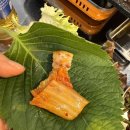 양천향교역 8번출구 이미지