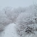 색달동-16 이미지