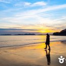 원산도 체육공원 푸드존 이미지