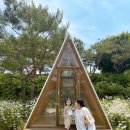 채이농장 | 용인 치유농장 베리가든 아기와 여름에 가볼만한 곳