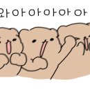 하트레이트 강남 이미지
