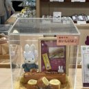 JP Station | 삿포로 4박5일 - 2일차. 오타루 (일정표, 식당 실패 후기)