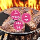 마이야르 이미지