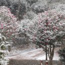 산 아래 이미지