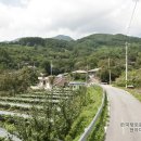 경북 김천시 대덕면 외감리의 장군봉(국영말달리기봉)의 전설-바보같은... 이미지