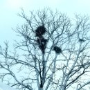 함평자연생태공원 이미지