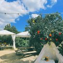 서호농장 이미지