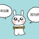 별주부전 이미지