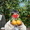 원암농장 이미지