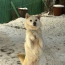 스타킹 노래연습장 이미지