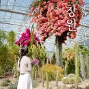 율하체육공원 분수광장 | 경남 창원 가볼만한곳 창원수목원 방문 후기