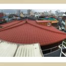 대광칼라 Daum카페